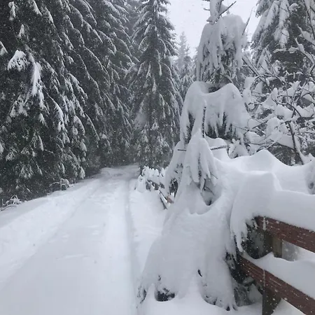 Cottage Karinka Bukovel Exterior photo