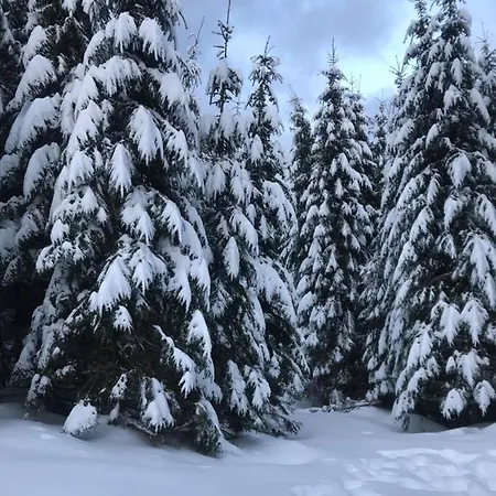Cottage Karinka Bukovel Exterior photo