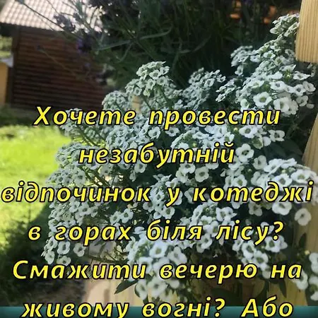 Cottage Karinka Bukovel Exterior photo