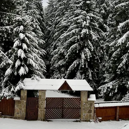 Cottage Karinka Bukovel Exterior photo