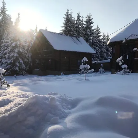 Cottage Karinka Bukovel Exterior photo
