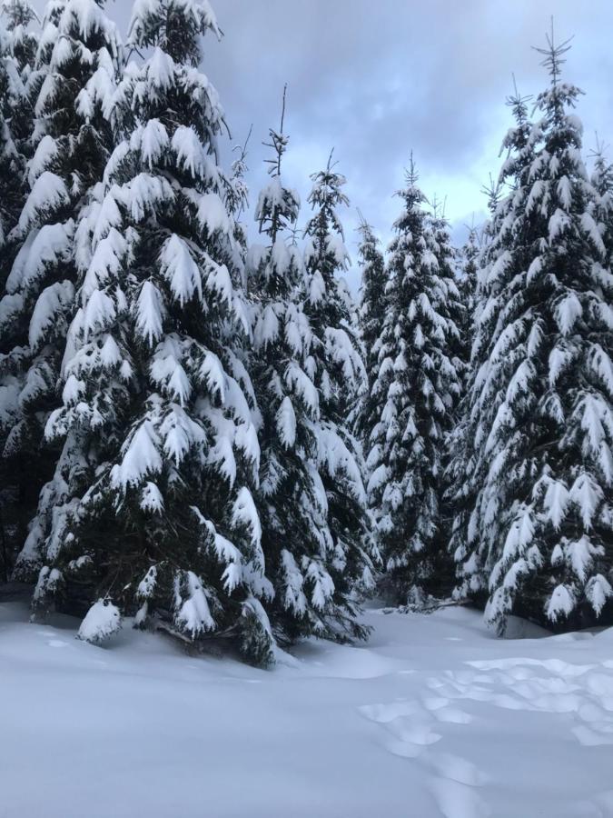 Karinka * Bukovel