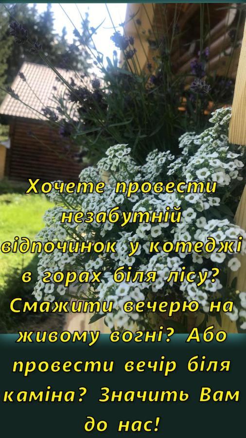 Karinka Holiday home *