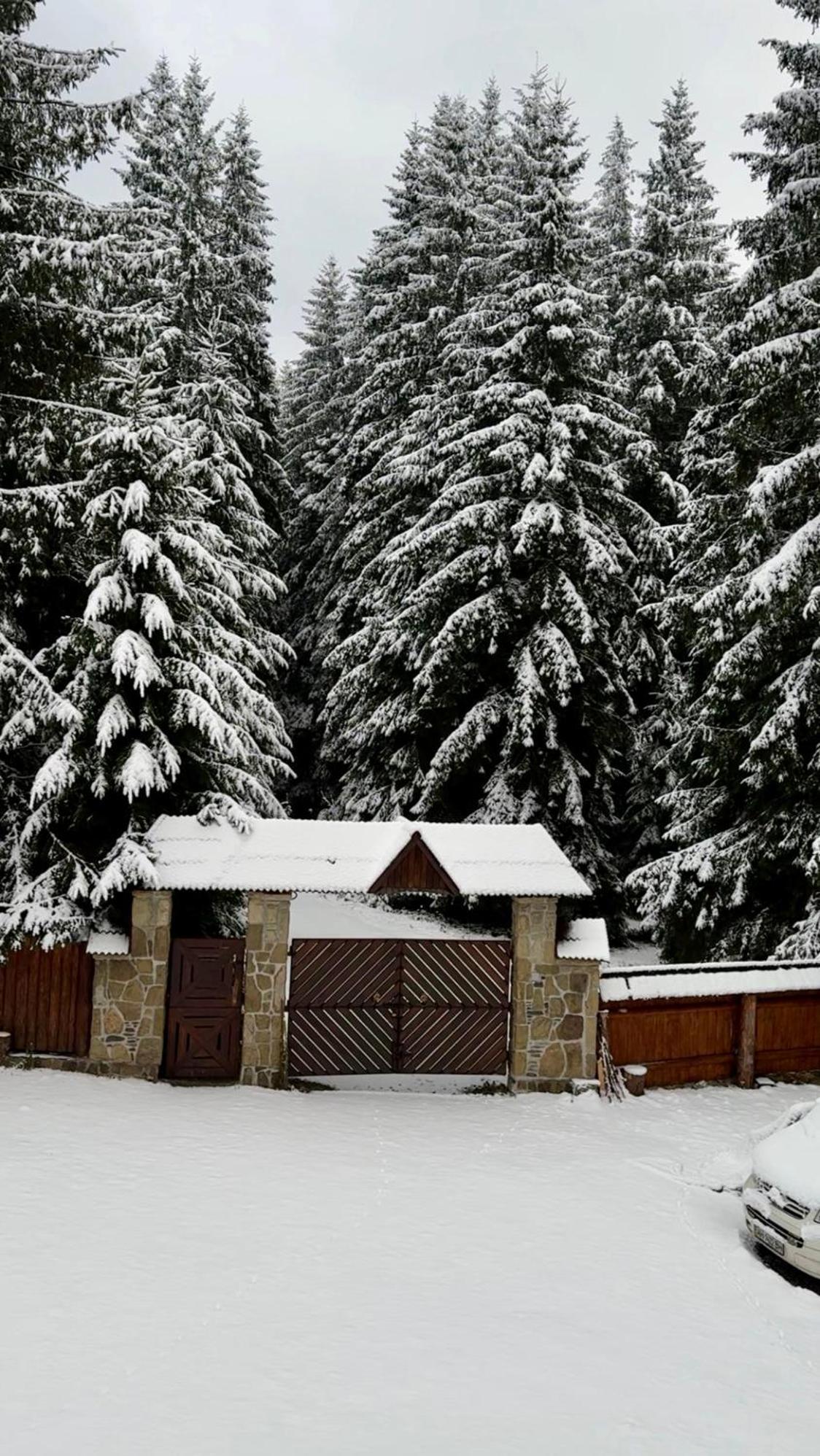 Karinka Holiday home *