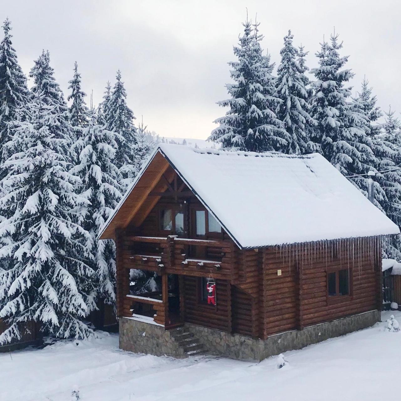 Karinka Holiday home Bukovel